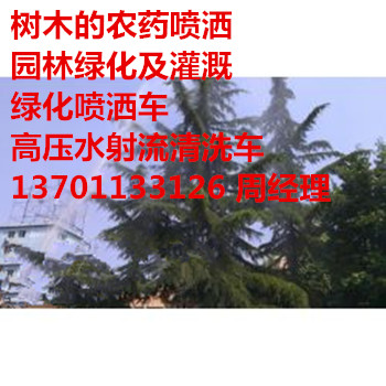 Ssohoh(hun)l(wi){(dio)ζƷS@־Gľˎ137һ0113һ3126