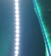 12V 5MM1901202835偆