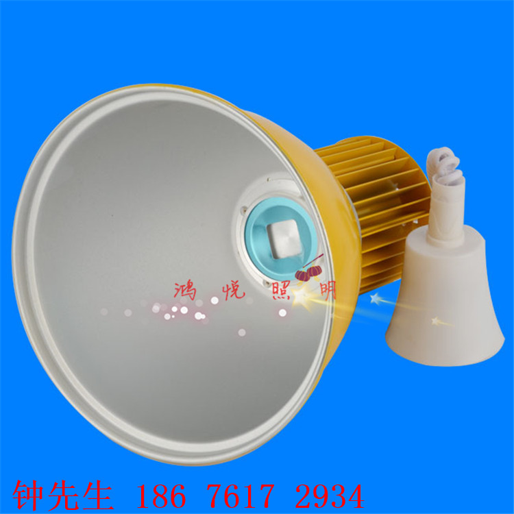 LEDiSֱN̓rXLEDr30w50w⚤׼