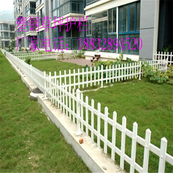 ǬSҹĈ@־Go  ؾG ƺo