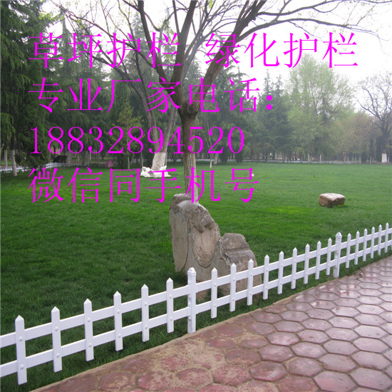 ǬSҹ㽭Gř ƺo Go