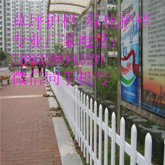 ǬSұƺo ·Go @o