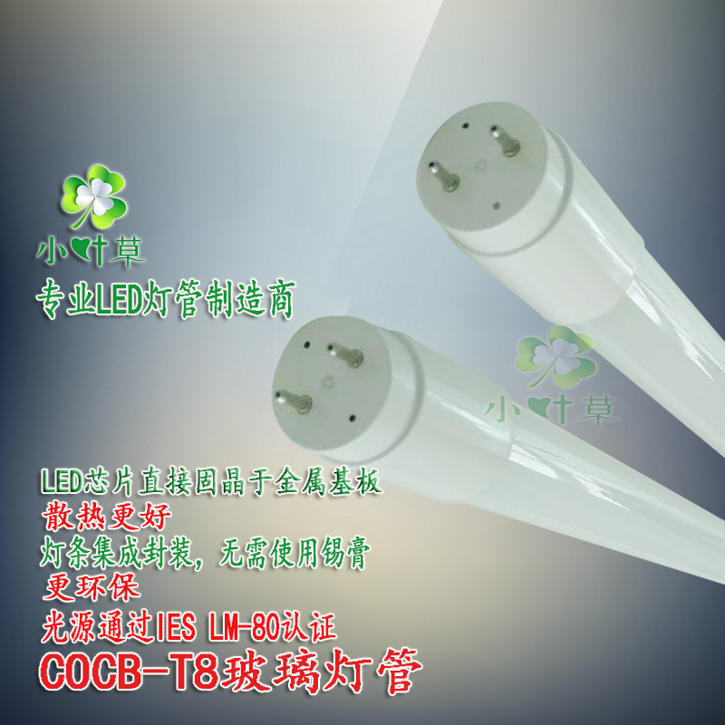 LEDչܲT81.5