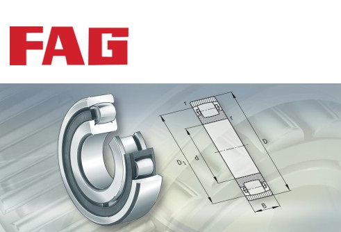 FAG{ĝLS20210-K-TVP-C3