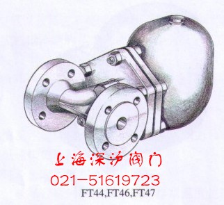 spiraxsarcoFT44ʽ˹ɳˮy˹ɳMˮy