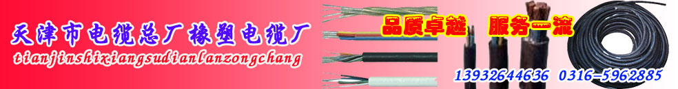 SҹС؈|YJV3*10+2*6|YJV3*10+2*6|