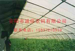\r--VǼ