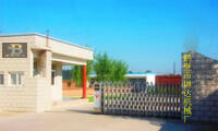 Qڲ_CеS