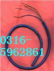 HBV HBVV HBYV-1X2X0.5 2X0.5 ˿