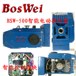BSW-500LRT-ZT2yT늄ӈ