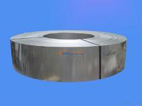 100Cr2 w1 1.3501DIN-EN˜S