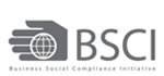 BSCISBSCISӖ˾