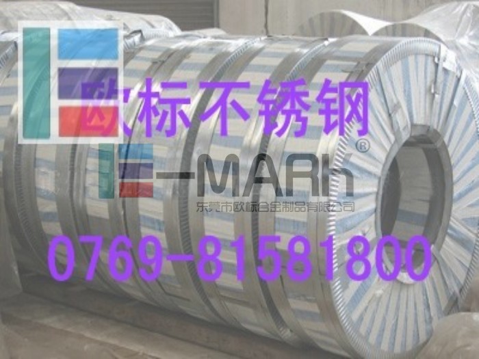 MӲP䓎 MڸߏP 316LݽzP䓱P