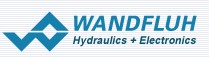 ʿWANDFLUHf(wn)(l)늴y