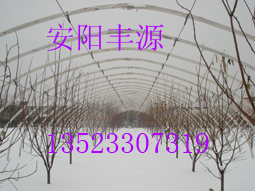 ๦߲˴ǼܙC(j)ҴǼܣSԴ