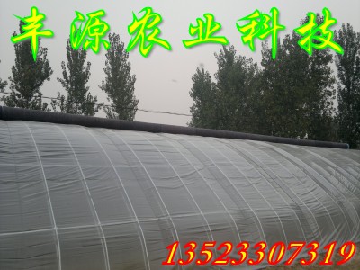 \Bֳ֧ܙCǼܙC߲˴֧ ߲˴r ߲˴ｨ