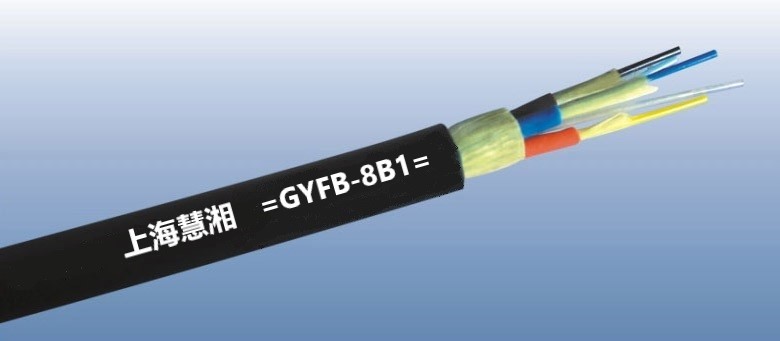 GYFB-8B1    8оģҰ(zhn)ҷ|