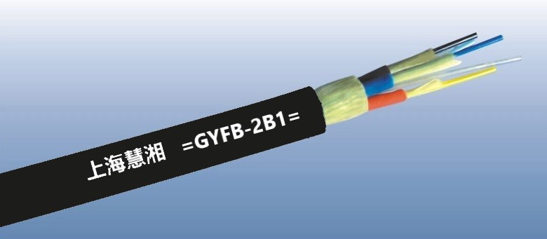 GYFB-2B1   2оģҰҷ|