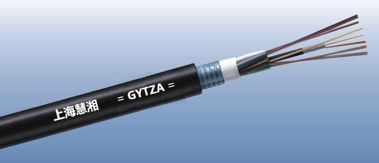 GYTZA ӽgȼzb|