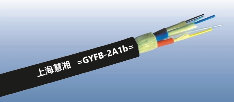 GYFB-2A1b 2оģҰҷ|