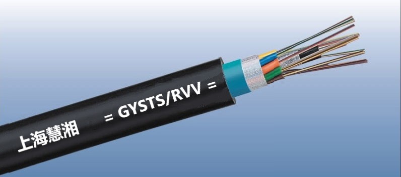 GYSTS/RVV ӽgzb늻|