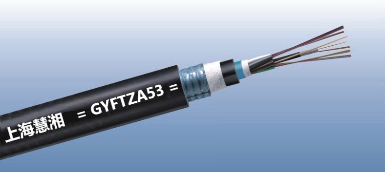 GYFTZA53zֱȼ|
