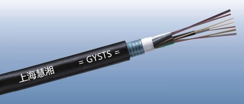GYSTS ܿՌӽg|