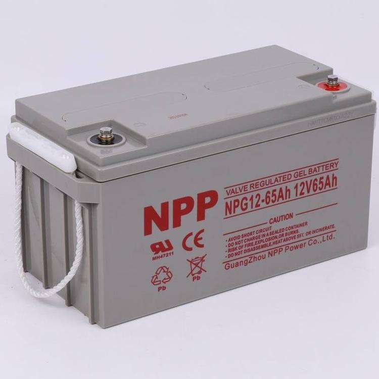 NPP늳NPG12-65 12V65AH zwSo늳 UPSԴ
