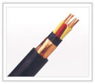 KVVRP2-22 ZR-KVVRP2-22 ȼ~о~ 䓎zb|