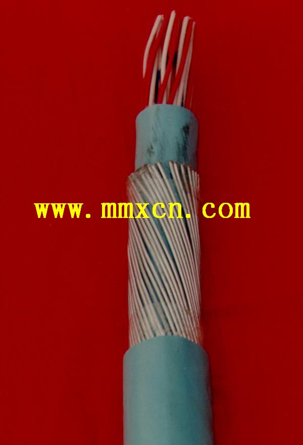 ̖|HYAT 100x2x0.4r(ji)