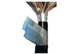 KVV-450/750V|HYA53 100*2*0.4Ԓ
