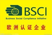 BSCI(yn)SJ(rn)Cԃ˾BSCI^(gu)̰(g)