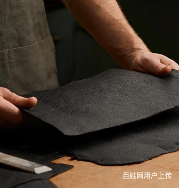 LEATHER STANDARDzy(c)J(rn)CSɫ@