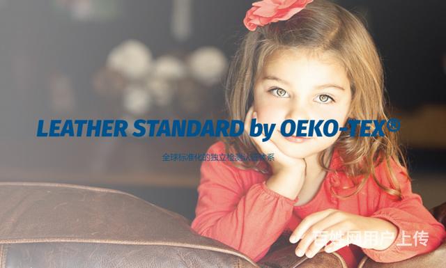 ƤLEATHER STANDARDa(chn)Ʒzy(c)J(rn)CB