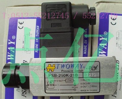 TWOWAY_(ti)ω^DNB-250K-06I_(ti)^