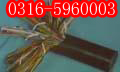 Cͨ|wCͨ|