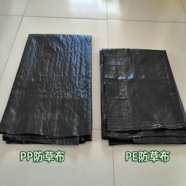 PPݲr(ji)