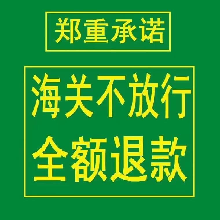 IHfPP̎- Ӣ  շ