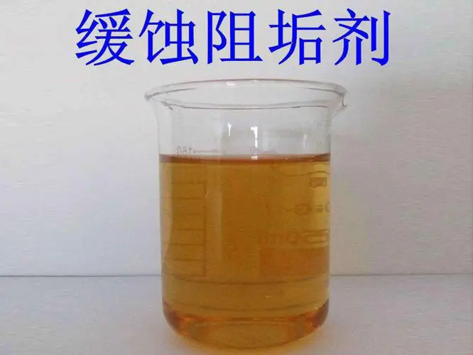 蹸Nl