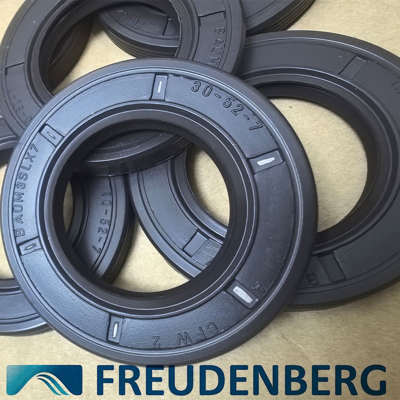ͷFREUCENBERG ŷ늙CܷȫNO1