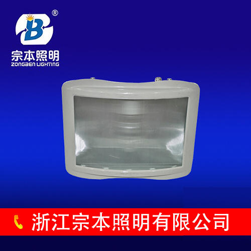 ՈF·ʹʲô?NSE9720F·ß