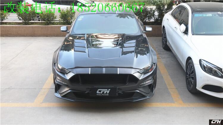 18-19¿ҰRb̼wS͸l(f)әC(j)wœMustangɢw