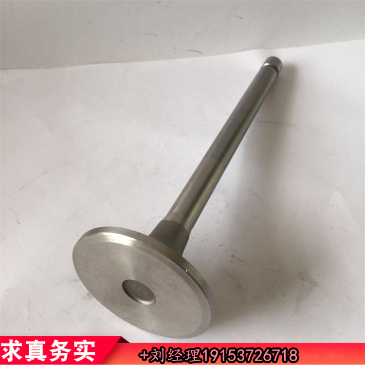 ˹ŚTM3088389/3803528 VALVE,EXHAUST