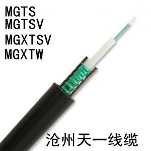 ˺\VȼͨŹ| MGTSV-60BúCRȫ