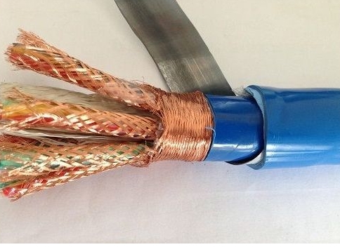 ZR-DJVPVP-1*2*1.0Ӌ(j)C(j)|