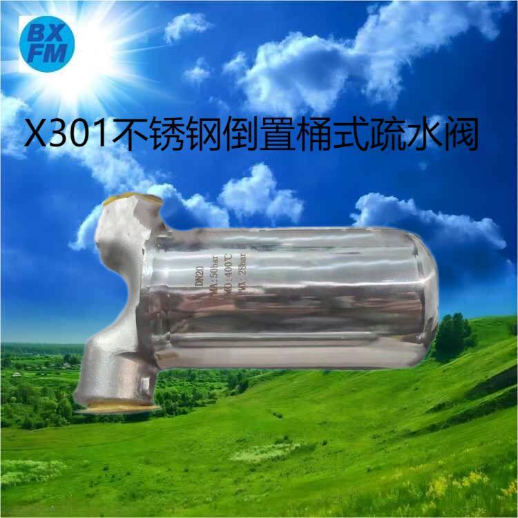 P䓵ͲʽˮyX301