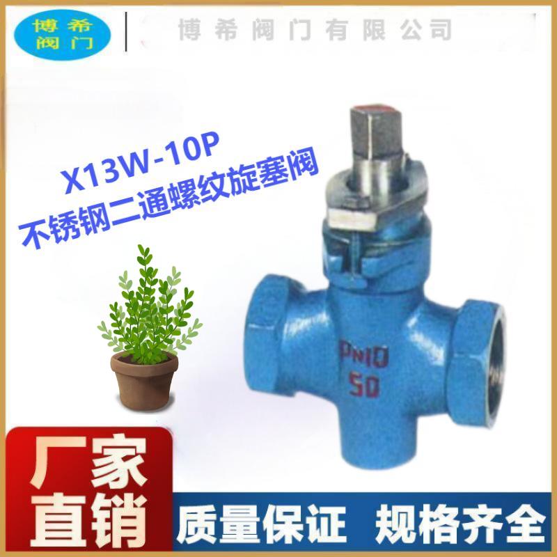 ֱͨʽy P䓲| X13W-10P