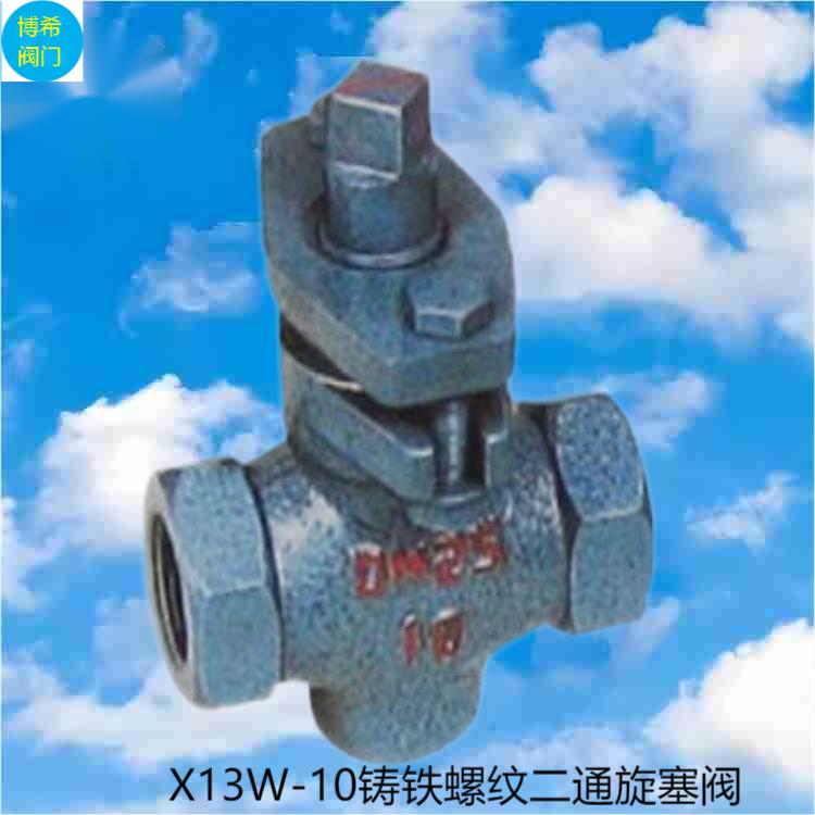 zy X13W-10