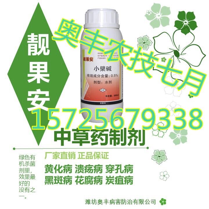 nFQ겡