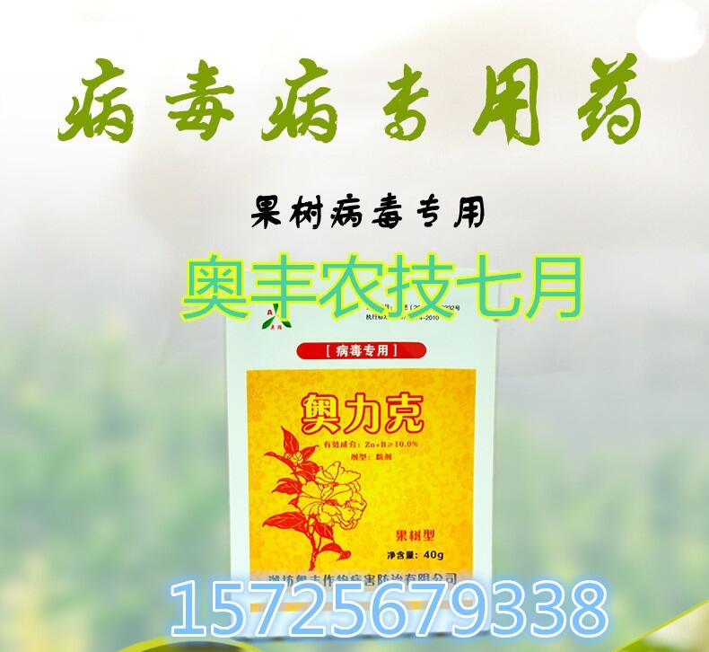 䲡ÇFTίľϲ